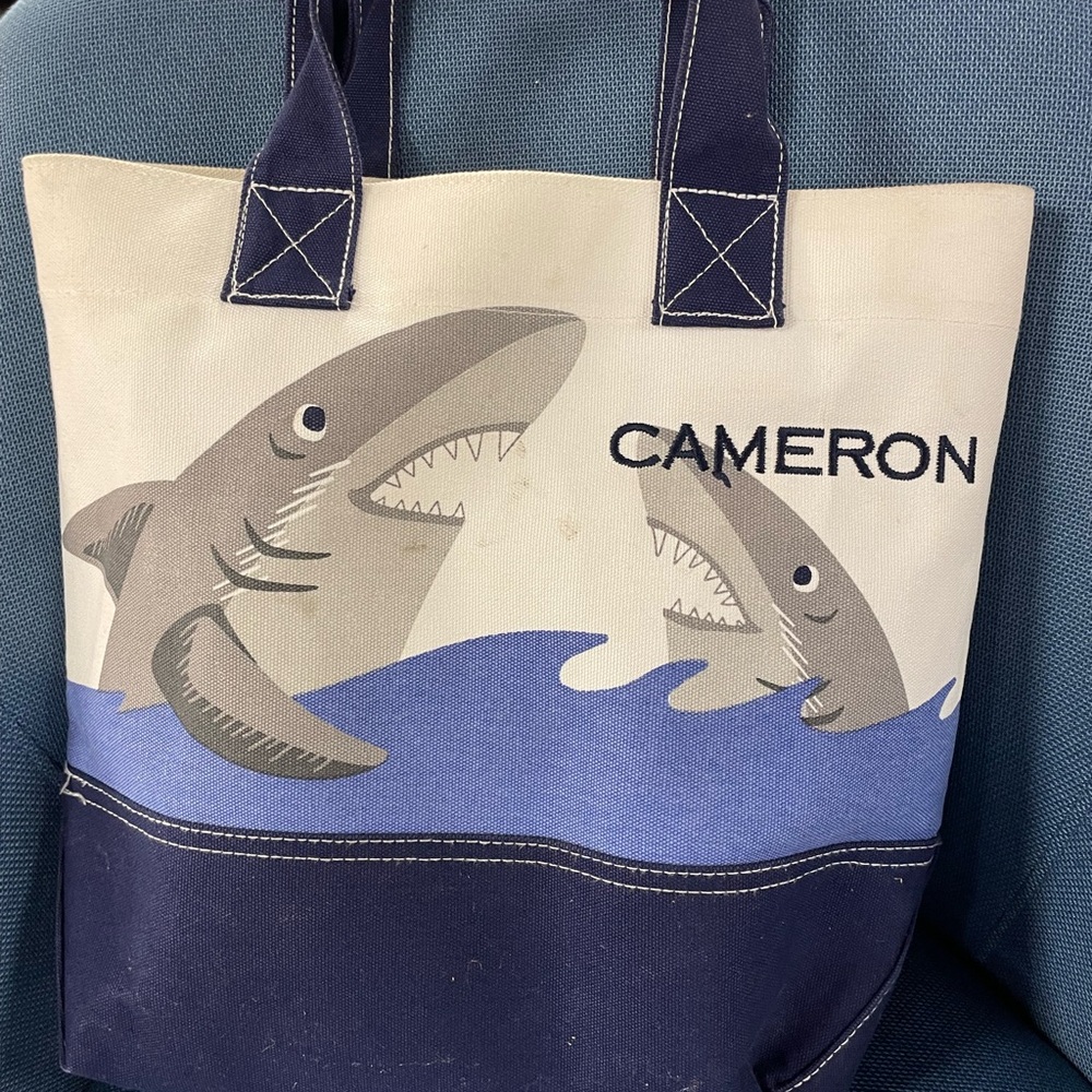 Potty barn kids tote “ CAMERON “ personalized name